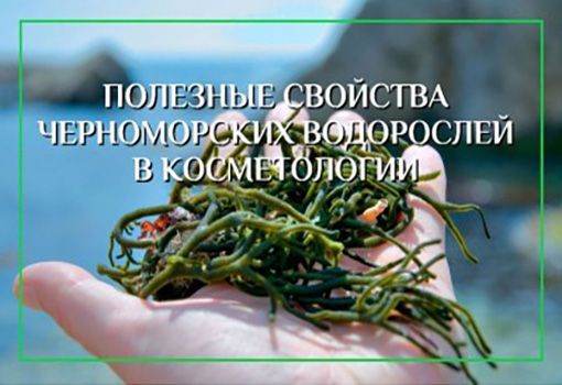 Полезные свойства Черноморских водорослей в косметологии